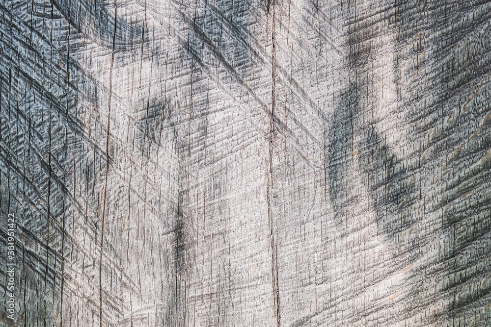 Fototapeta premium Rustic old wood plank texture for background and design concepts.
