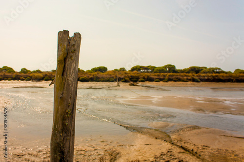 Paraje natural Marismas del R  o Piedras y Flecha del Rompido  ciudad de Huelva