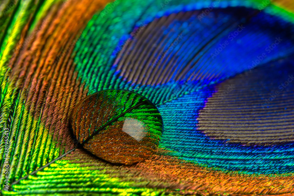 Fototapeta premium Close-up view of a drop of water