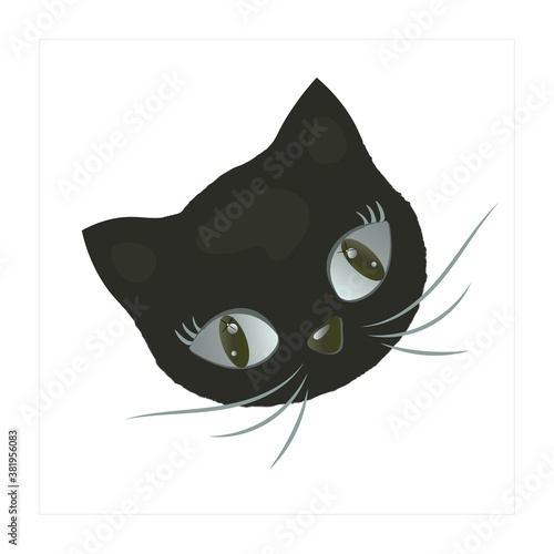 Surprised, pensive kitten face.
Vector isolated design on white background.