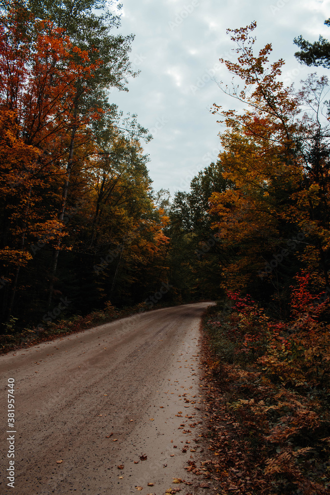 fall road