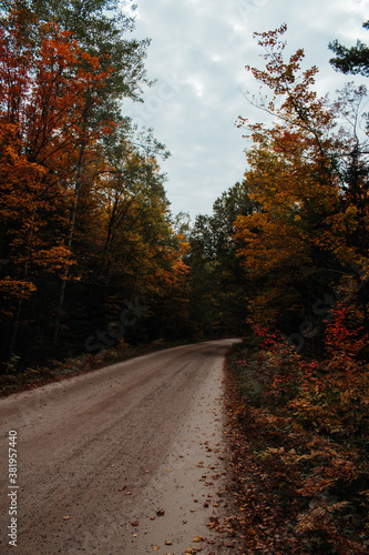 fall road © Mitchell Dassylva
