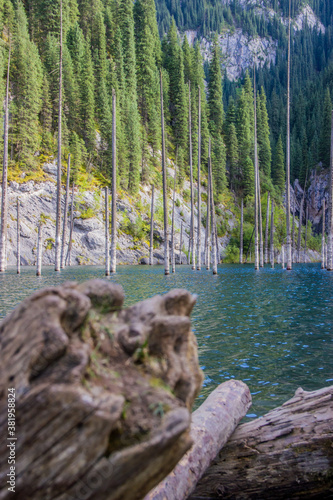 Brown logs in front of the beautiful scenery depicting dried trunks of Picea schrenkiana pointing out of turquoise water in Kaindy lake, Kazakhstan, Central Asia photo