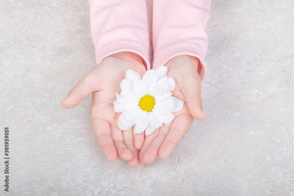 two children's hands. They have flower buds. Petals are scattered across the table two children's hands. They have flower buds. Petals are scattered across the table