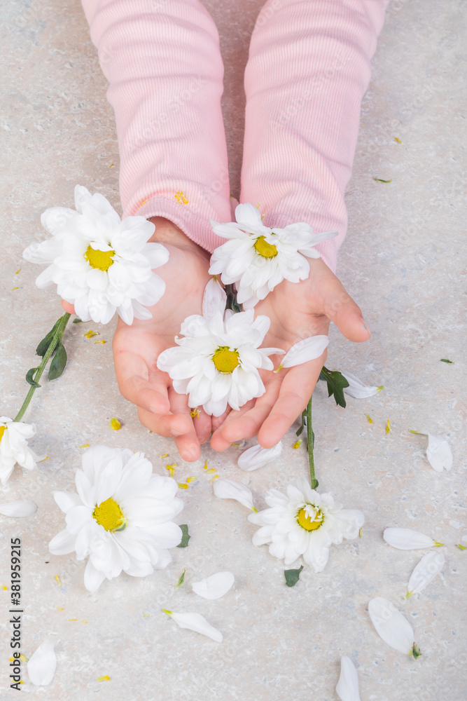 two children's hands. They have flower buds. Petals are scattered across the table two children's hands. They have flower buds. Petals are scattered across the table