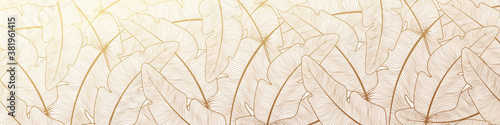 luxury-background-for-banner-or-header-or-wallpaper-with-golden-feathers-on-white