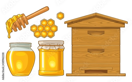 Honey set. Jars, hive and honeycomb. Vector color illustration.