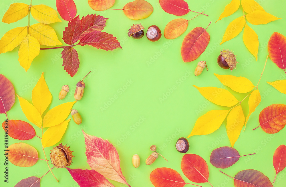 autumn leaves, acorns and chestnuts on a green background. autumn background with copy space in the center