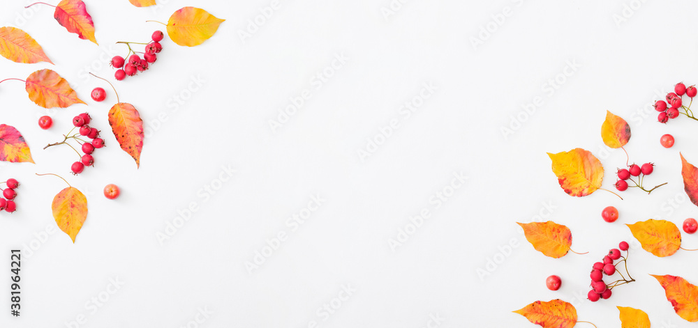 Flat lay frame with colorful autumn leaves and berries on a white background Flat lay frame with colorful autumn leaves and berries on a white background