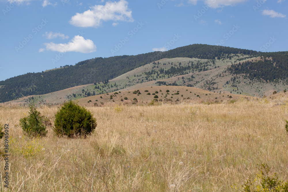 Obraz premium Mountain landscape Montana