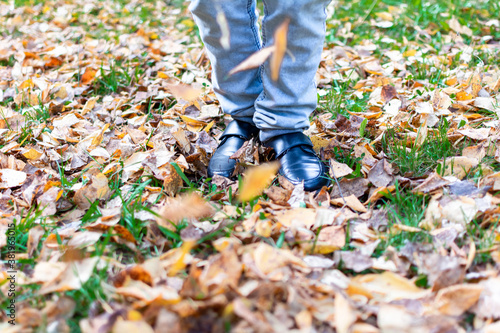 a man in black shoes is walking on fallen yellow leaves on green grass. 