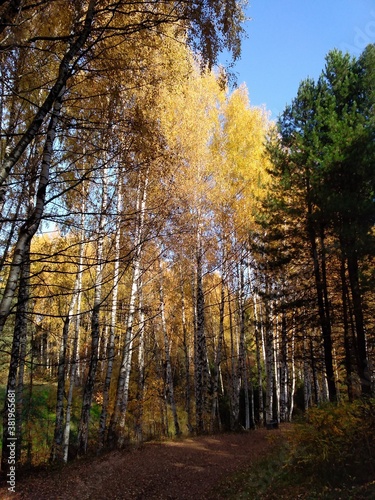 autumn in the park