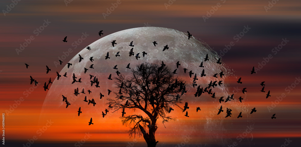 Silhouette of birds with lone tree, full moon at amazing sunset in the background 