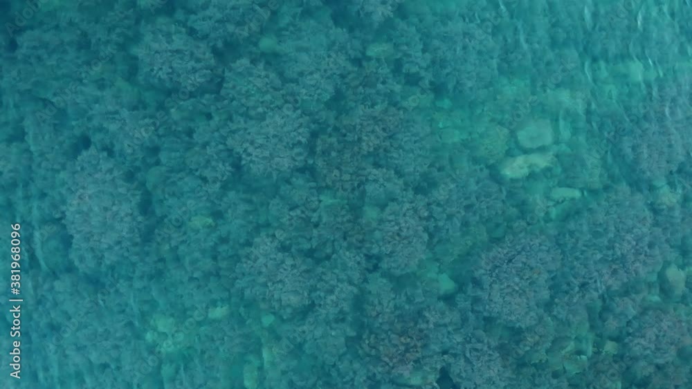 view from above the sea. clear water visible corrals and algae. view from above the sea. clear water visible corrals and algae.