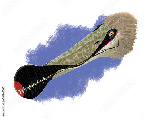 Ornithocheirus photo