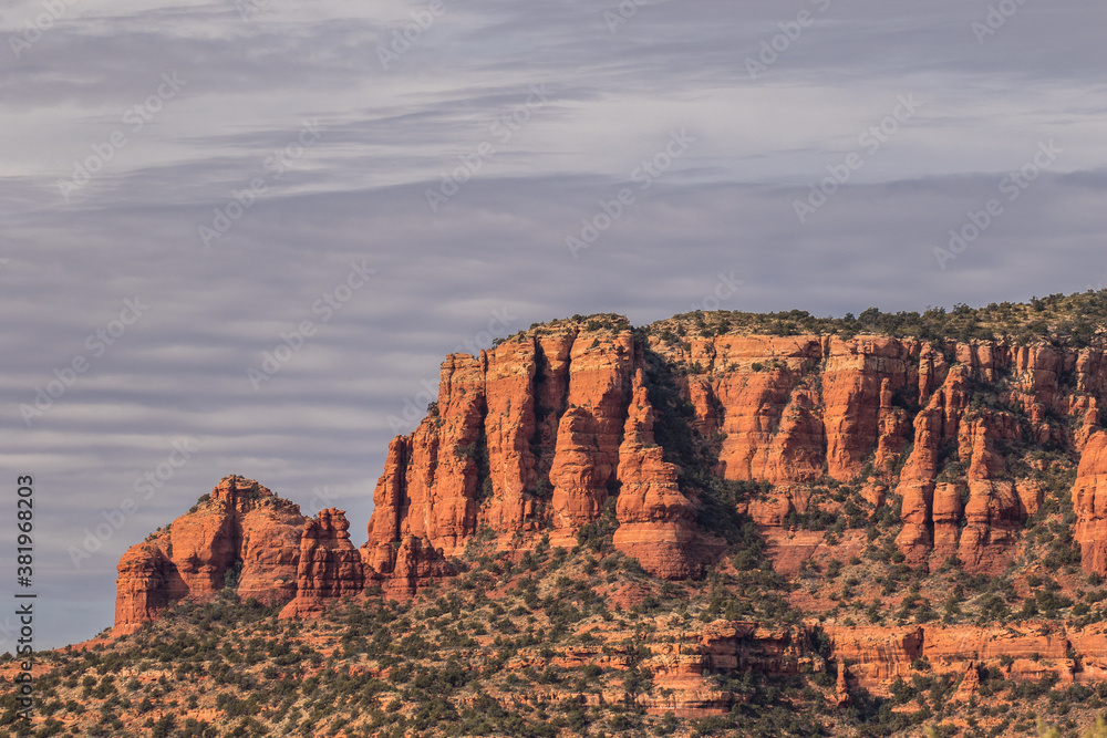 Juniper trees and a formation of  huge red sandstone rocks outside the city of Sedona, Arizona.