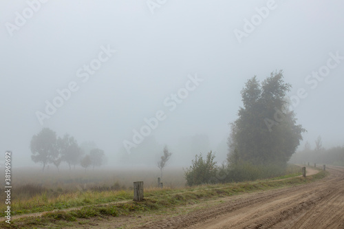Dirt and bike road in early morning sunrise moorland landscape passing vegetation and trees in the distance contrasted against a moist misty fog background. Autumn fall theme.