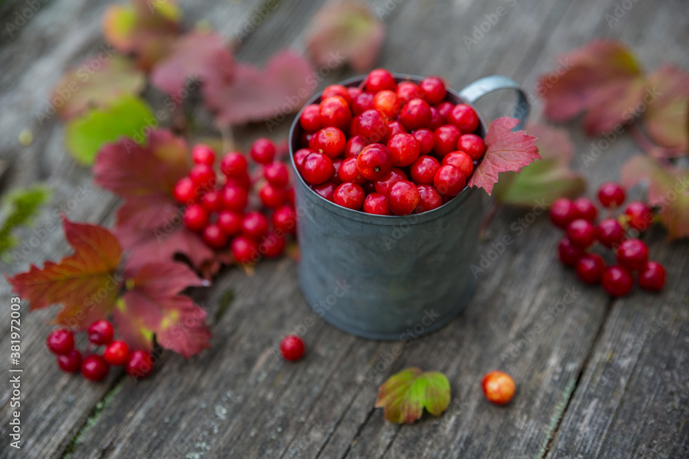 Viburnum berries in an iron mug on a wooden background. Viburnum berries in an iron mug on a wooden background.