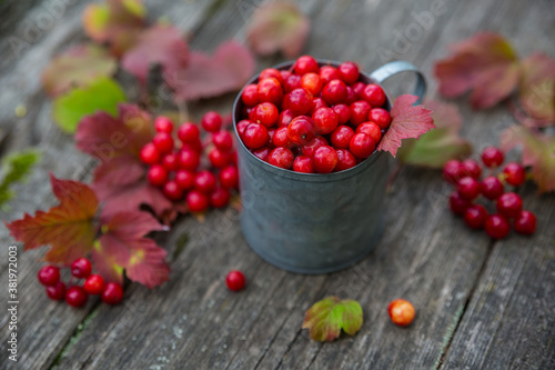 Viburnum berries in an iron mug on a wooden background.