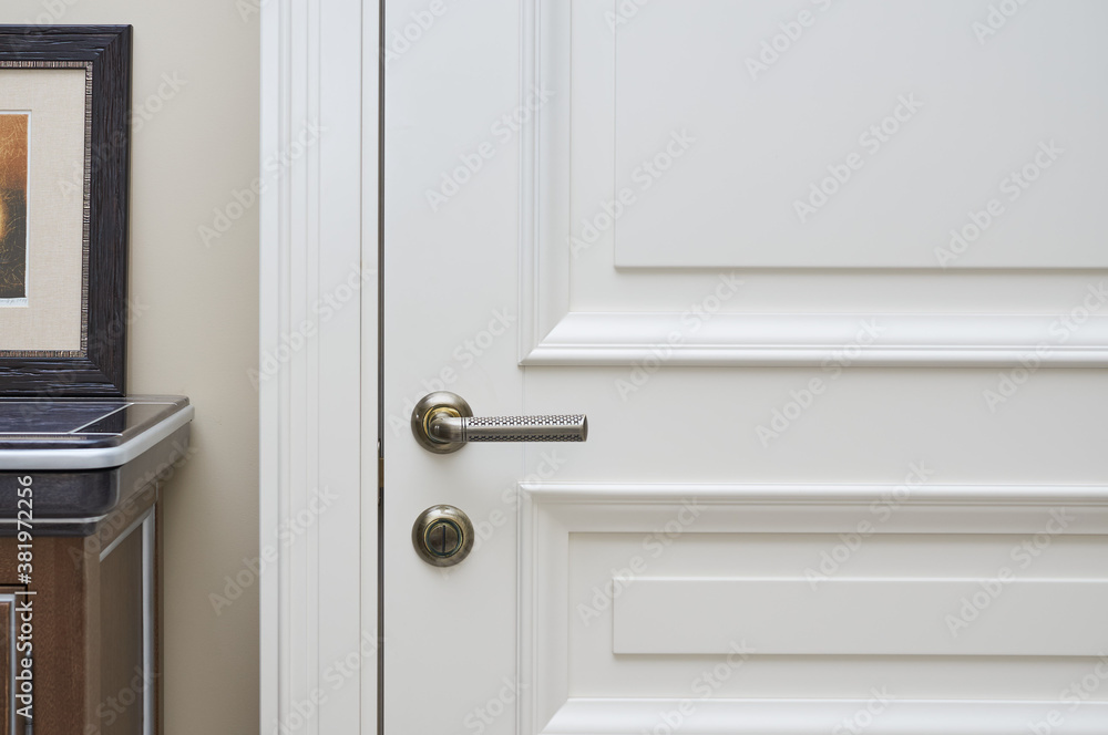 decorative elements of white door in the classical style decorative elements of white door in the classical style