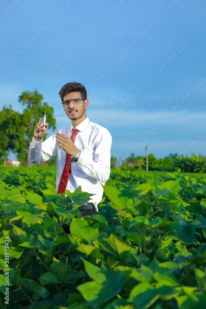 Young indian agronomist with test tube, Agriculture and scientist concept. Young indian agronomist with test tube, Agriculture and scientist concept.