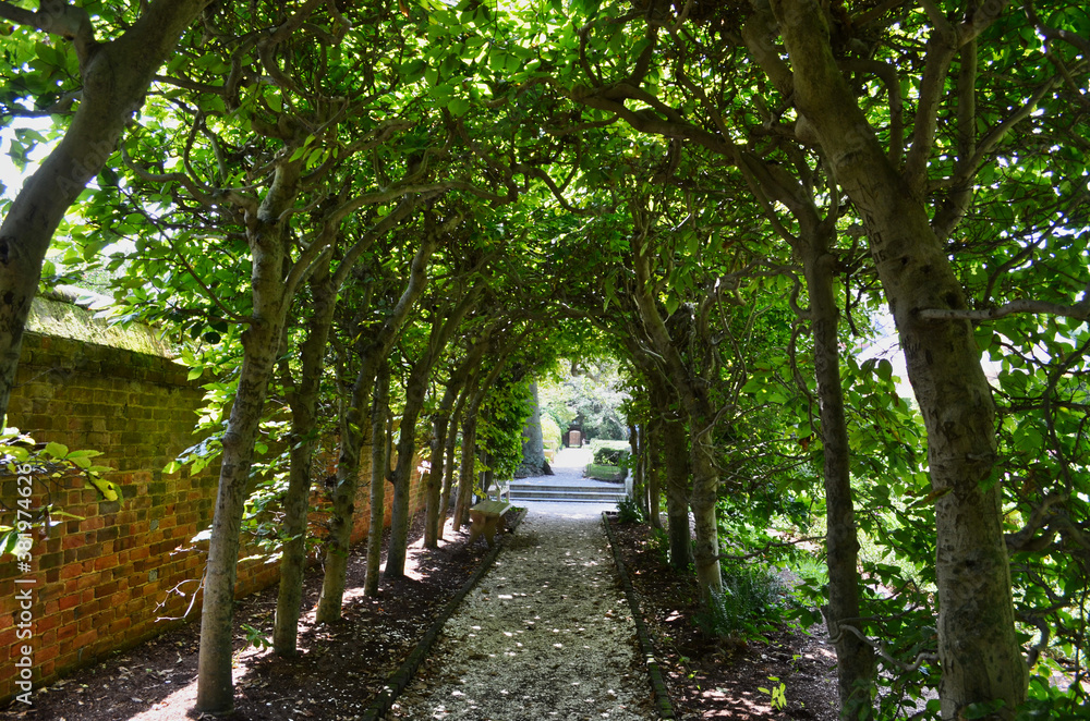 Shady Path Beneath a Grape Arbor in Virginia Shady Path Beneath a Grape Arbor in Virginia