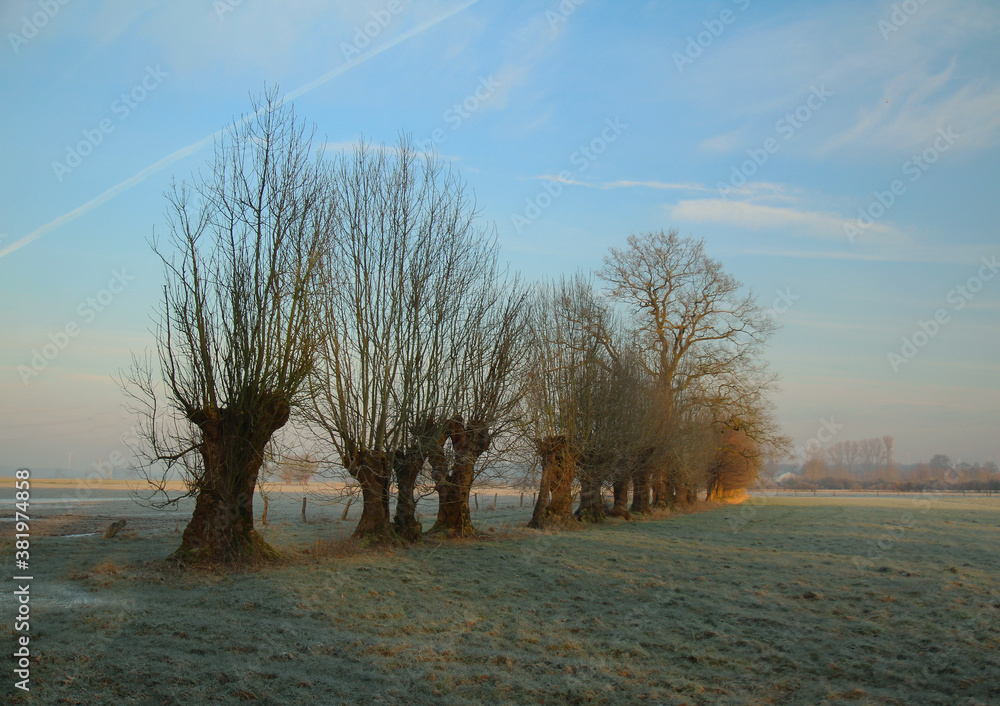 Fototapeta premium Landschaft Morgendämmerung Münsterland Winter