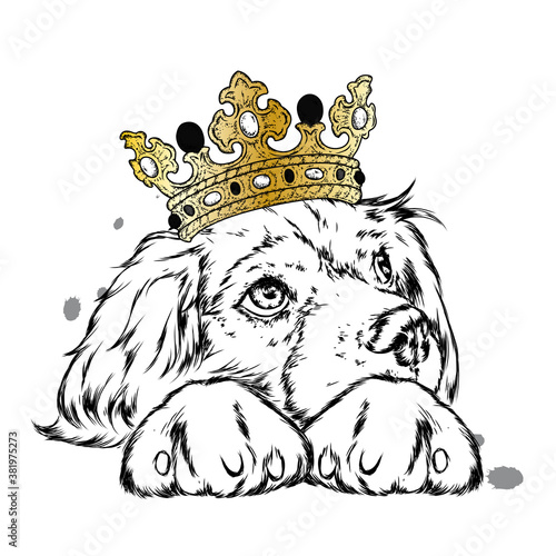 Beautiful puppy in the crown. A pedigree dog in clothes and accessories. Vector illustration. Hipster dog.