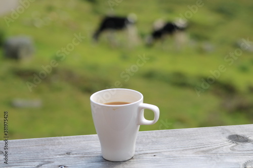 Enjoying a fresh cup of coffee in the morning sun