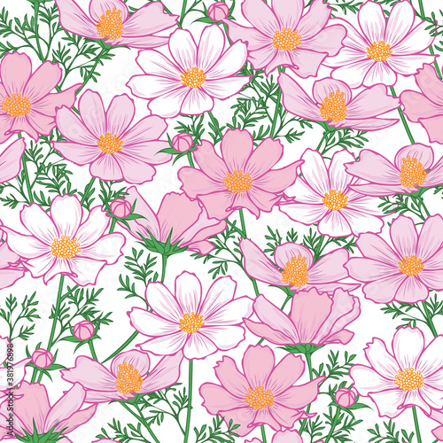 Floral seamless pattern with cosmos flower. Pink flowers on white background design.