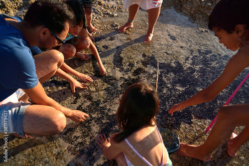 Family playing in ocean tide pool on beach