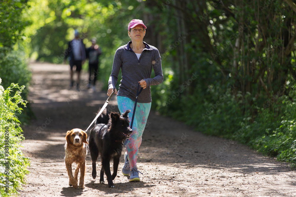 Woman with dogs walking on sunny trail in park Woman with dogs walking on sunny trail in park