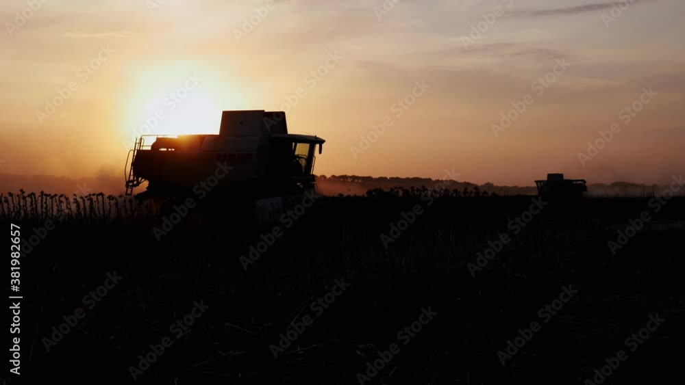 Two harvester working in field and mows ripe harvest silhouette on sunset. Agricultural and agrarian business Two harvester working in field and mows ripe harvest silhouette on sunset. Agricultural and agrarian business