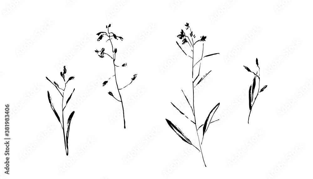 Obraz premium Hand drawn wild plants collection. Outline flower with leaves painted by ink. Black isolated sketch vector on white background