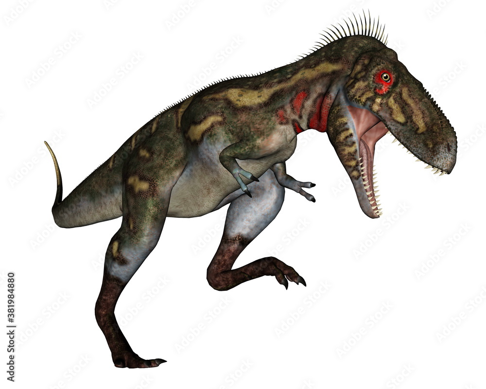 Fototapeta premium Nanotyrannus dinosaur roaring isolated in white background - 3D render