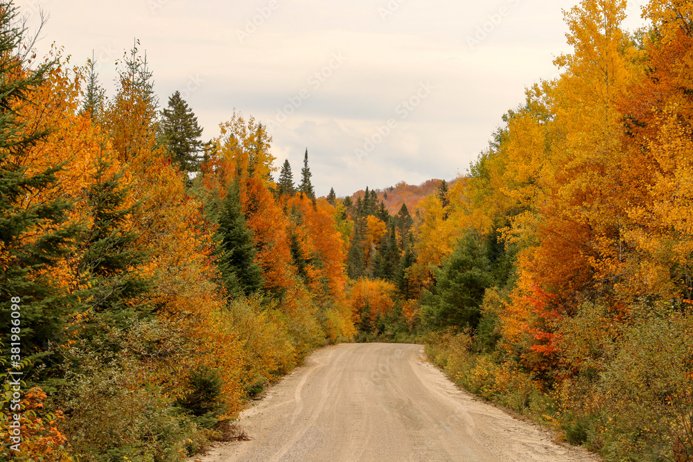 side road under autumn colors side road under autumn colors