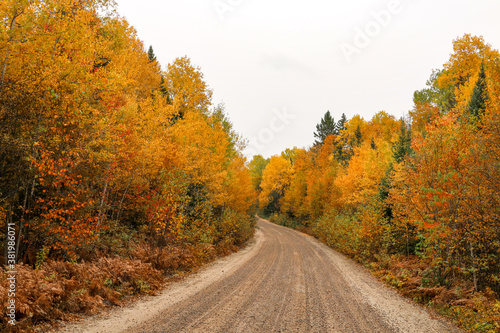 side road under autumn colors