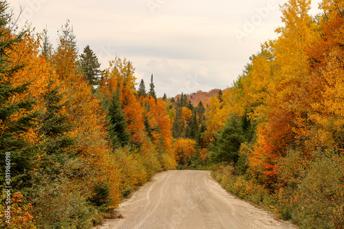side road under autumn colors