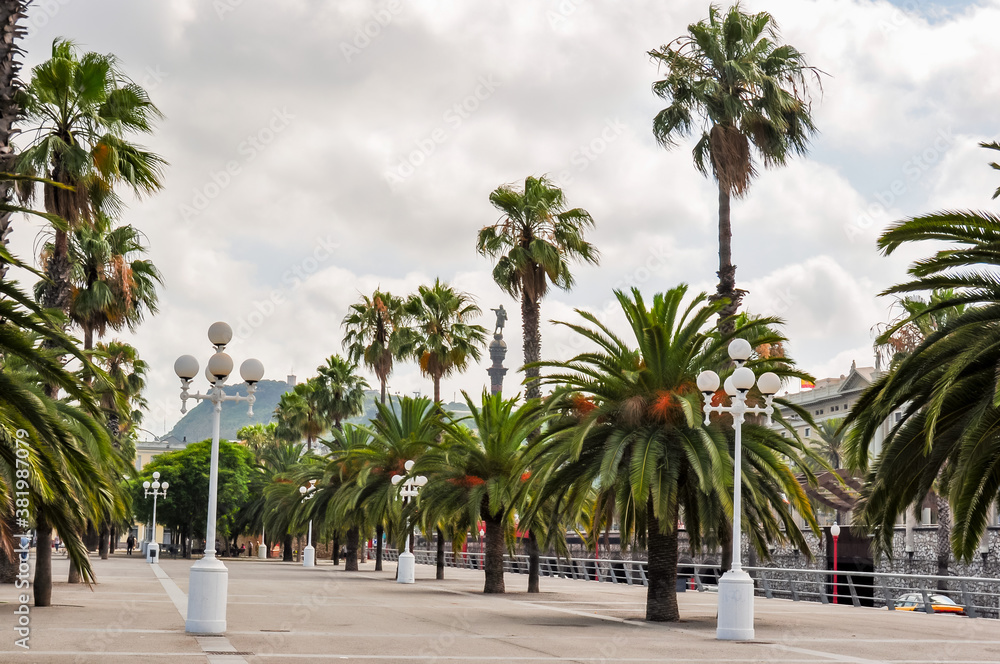 Barcelona sea promenade with palm trees, Spain