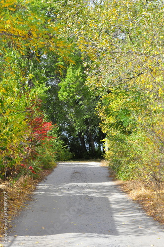 autumn in the park