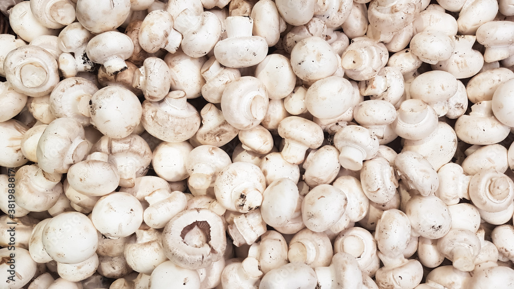 Top view of many raw champignons. White fresh ripe clean mushrooms are ready to cook. Diet or vegetarian food concept. Top view of many raw champignons. White fresh ripe clean mushrooms are ready to cook. Diet or vegetarian food concept.