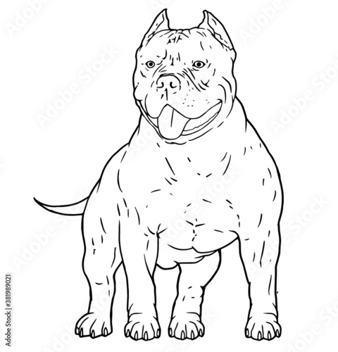 perro