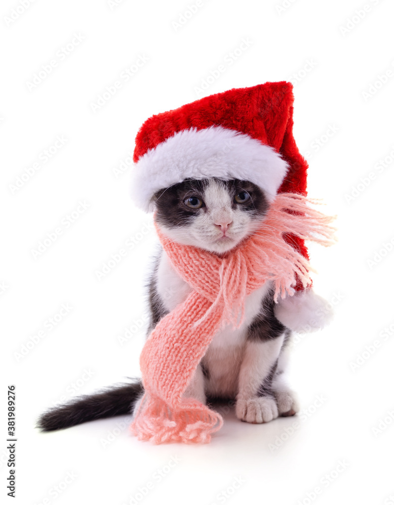 Kitten in the hat Santa. Kitten in the hat Santa.