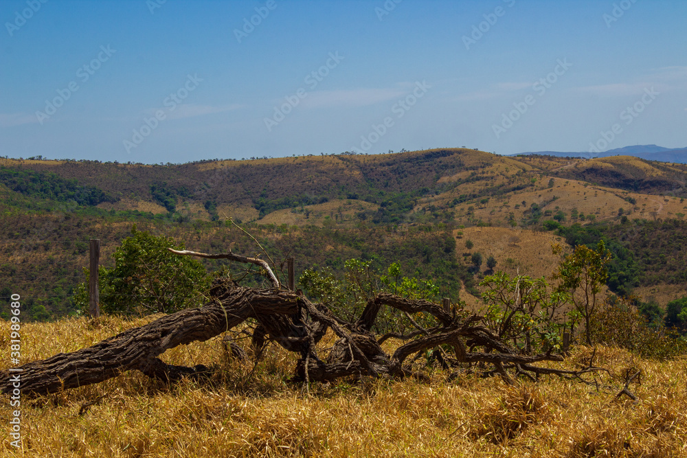 Mountain range with beautiful vegetation