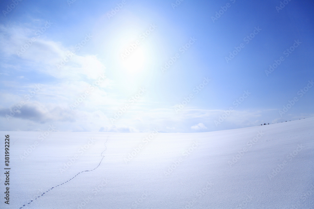 足跡のある雪原と太陽