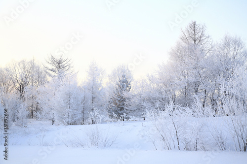 雪原の樹氷 © Paylessimages