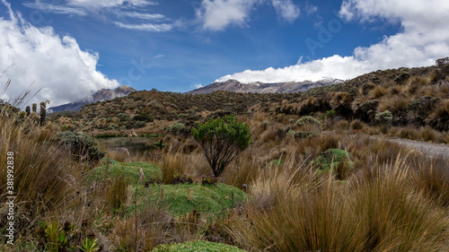 Vegetation, lakes and mountains in Los nevados national natural park in Colombia