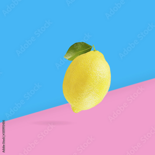 One lemon fruit isolated on light blue and pink gradient background photo