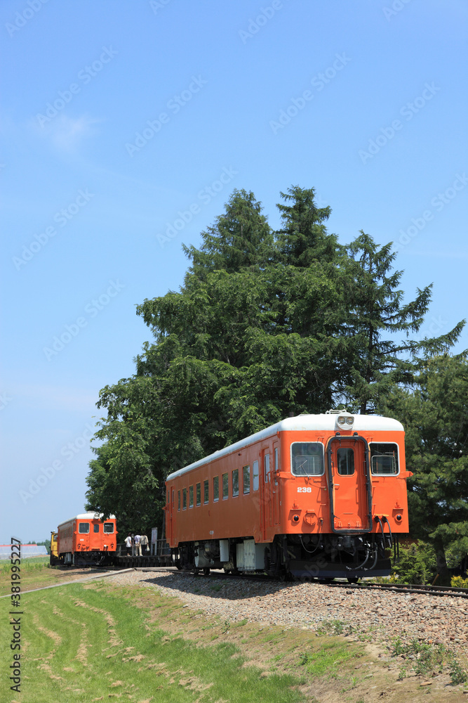 Obraz premium 幸福駅のディーゼル車両