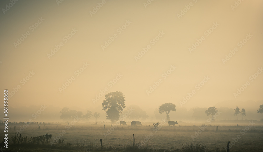Ostfriesland Nebel